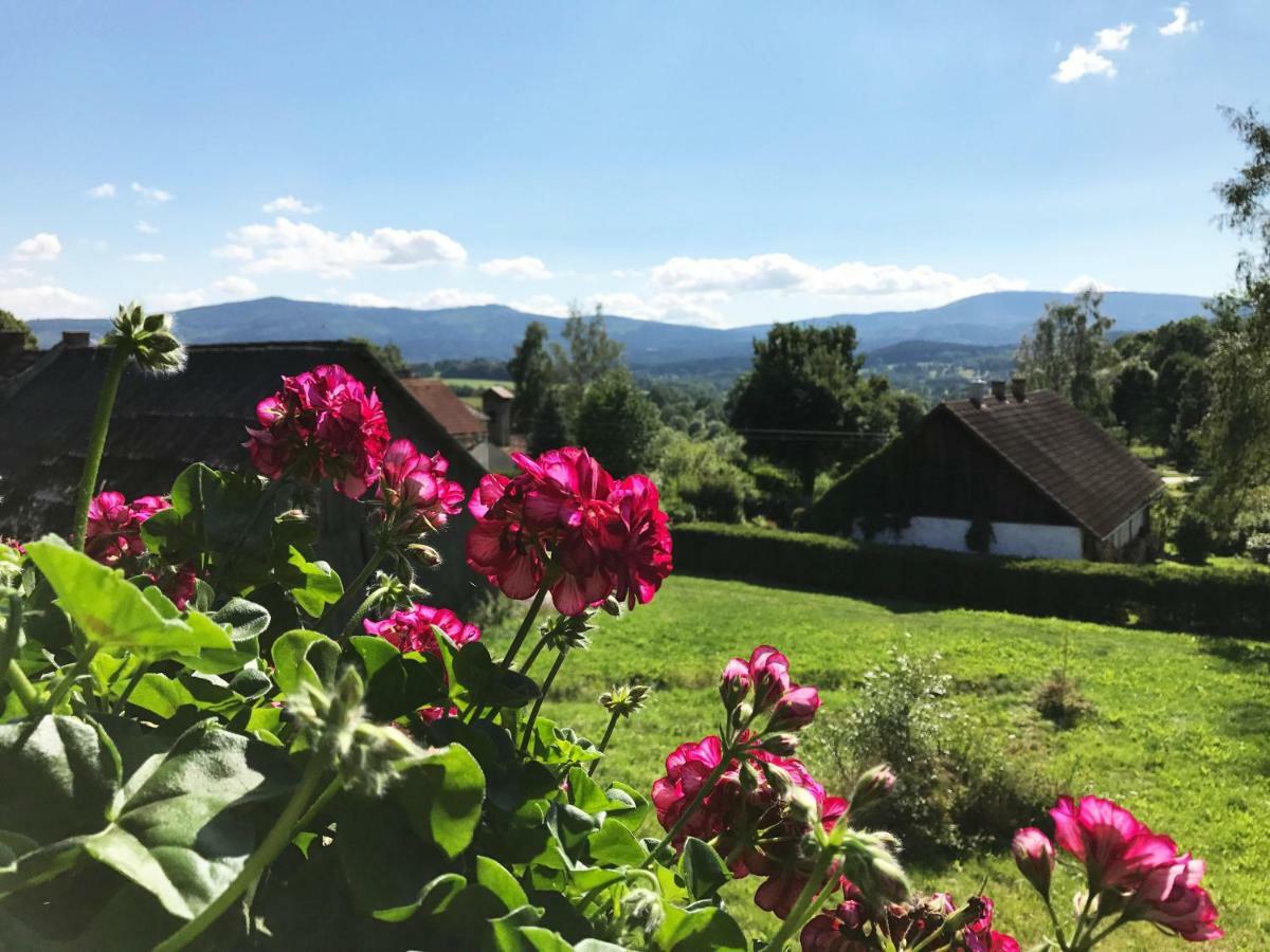 Chalupa Na Peci Želnava Buitenkant foto